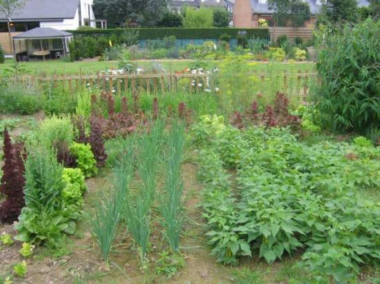 Potager