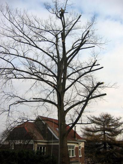 img-4439.jpg